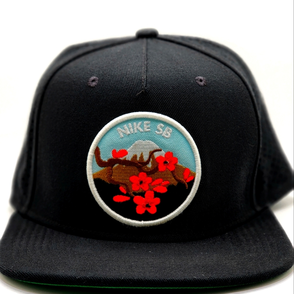 Rare Nike SB Cherry Blossom Snapback